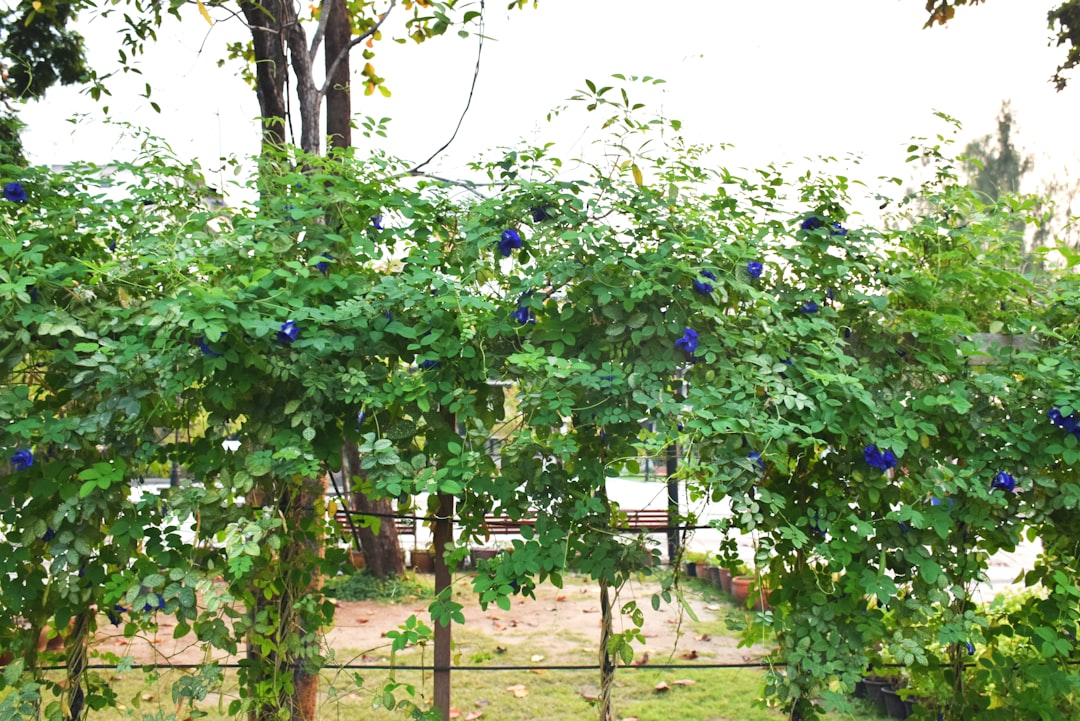 Morning vs Evening Skincare Routine